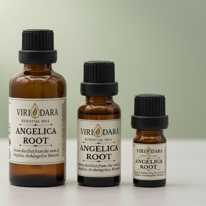 Organic Angelica Root Essential Oil