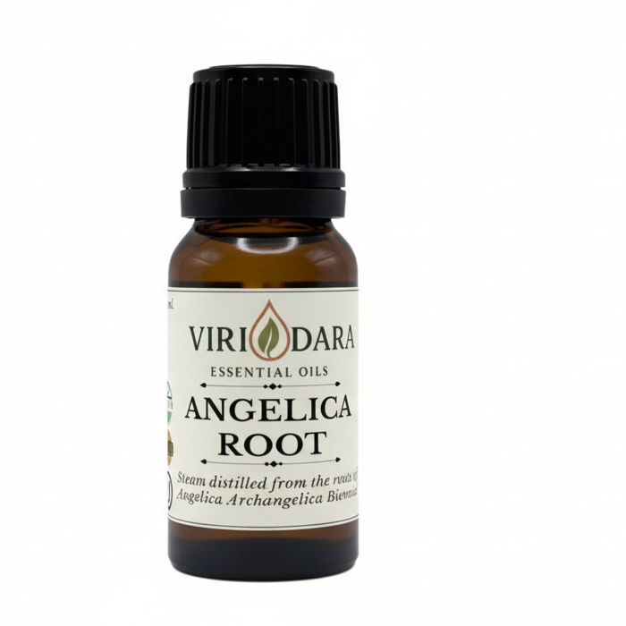 Organic Angelica Root Essential Oil