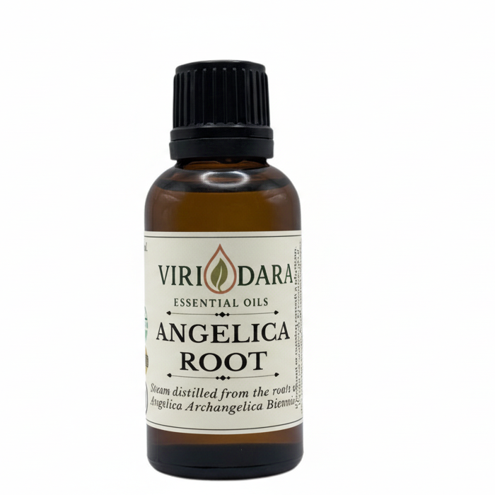 Organic Angelica Root Essential Oil
