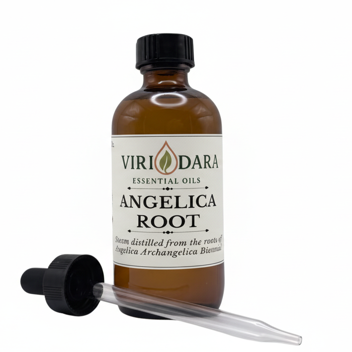 Organic Angelica Root Essential Oil