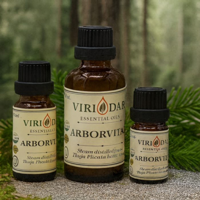 Organic Arborvitae Essential Oil