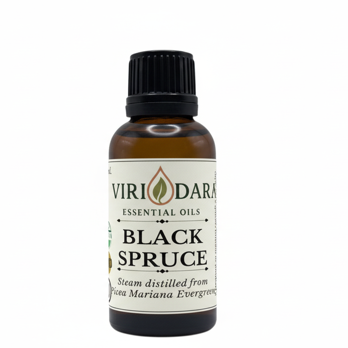 Organic Black Spruce Essential Oil
