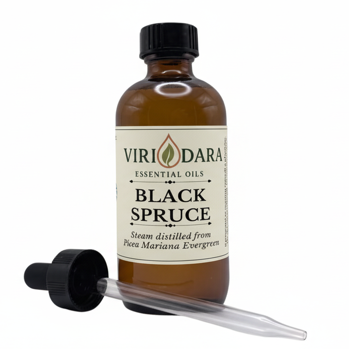 Organic Black Spruce Essential Oil