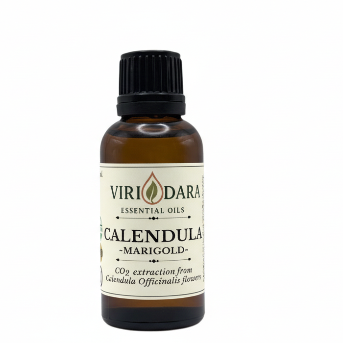 Organic Calendula Essential Oil