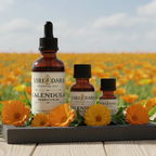 Organic Calendula Essential Oil