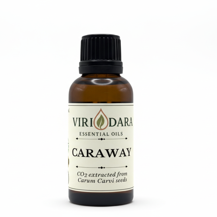 Organic Caraway Essential Oil
