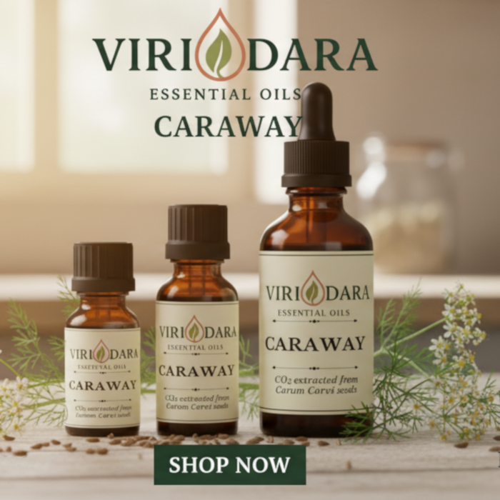 Organic Caraway Essential Oil