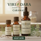 Organic Caraway Essential Oil