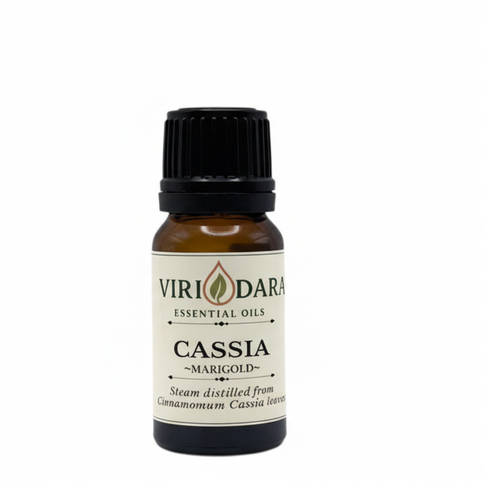 Organic Cassia Essential Oil