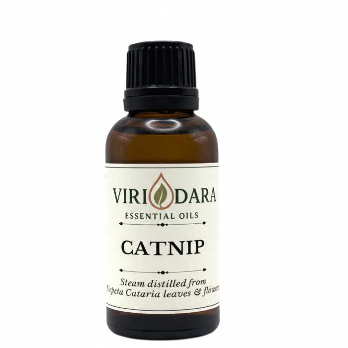 Organic Catnip Essential Oil