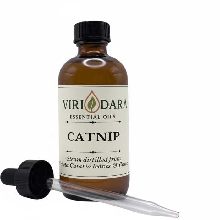 Organic Catnip Essential Oil