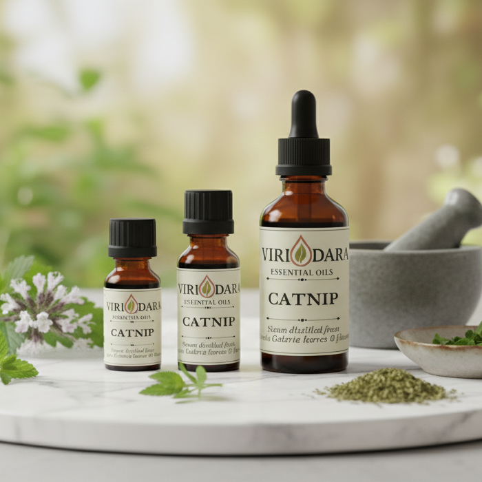Organic Catnip Essential Oil