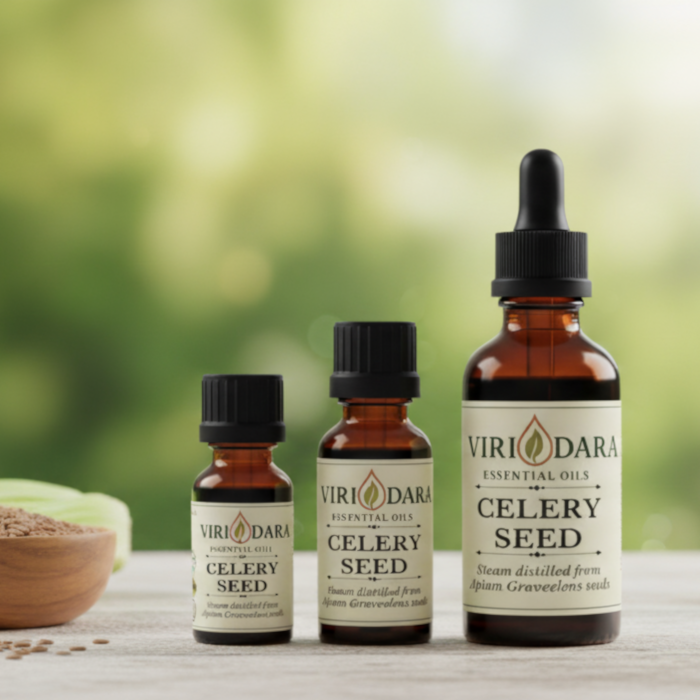 Organic Celery Seed Essential Oil