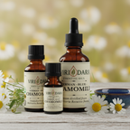 Organic German Blue Chamomile Essential Oil