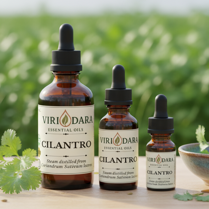 Organic Cilantro Essential Oil