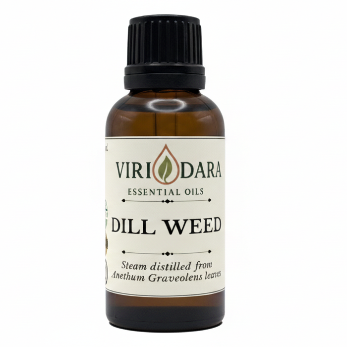 Organic Dill Weed Essential Oil