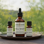 Organic Dill Weed Essential Oil