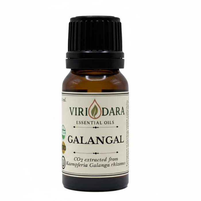 Organic Galangal Essential Oil
