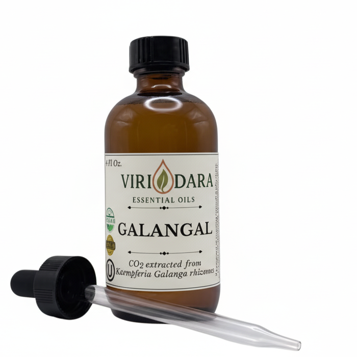 Organic Galangal Essential Oil