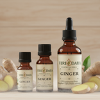 Organic Ginger Essential Oil