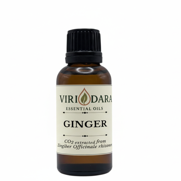 Organic Ginger Essential Oil