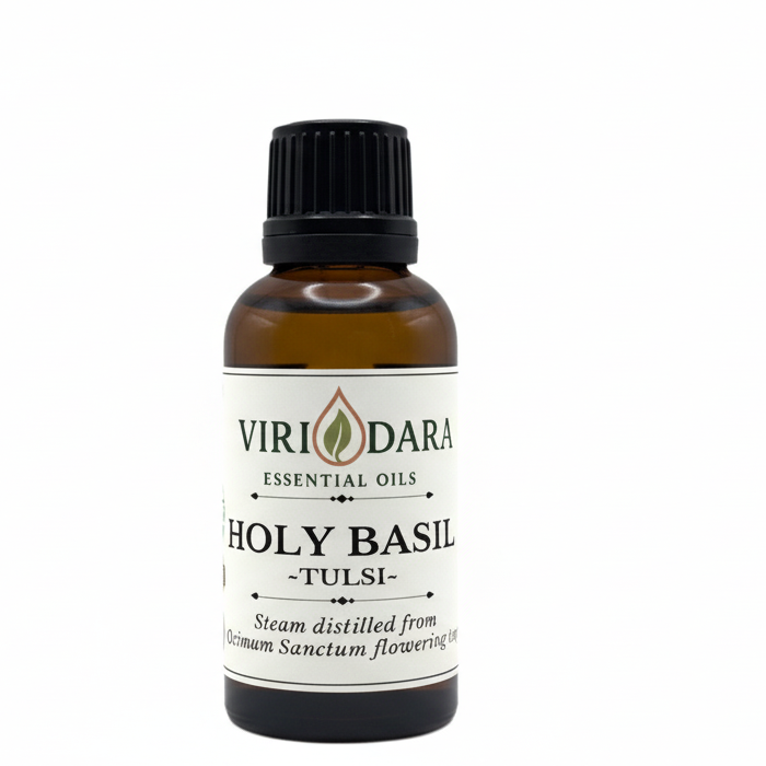 Organic Holy Basil Essential Oil