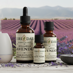 Organic Bulgarian Lavender Essential Oil