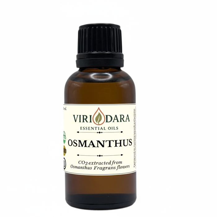 Organic Osmanthus Essential Oil