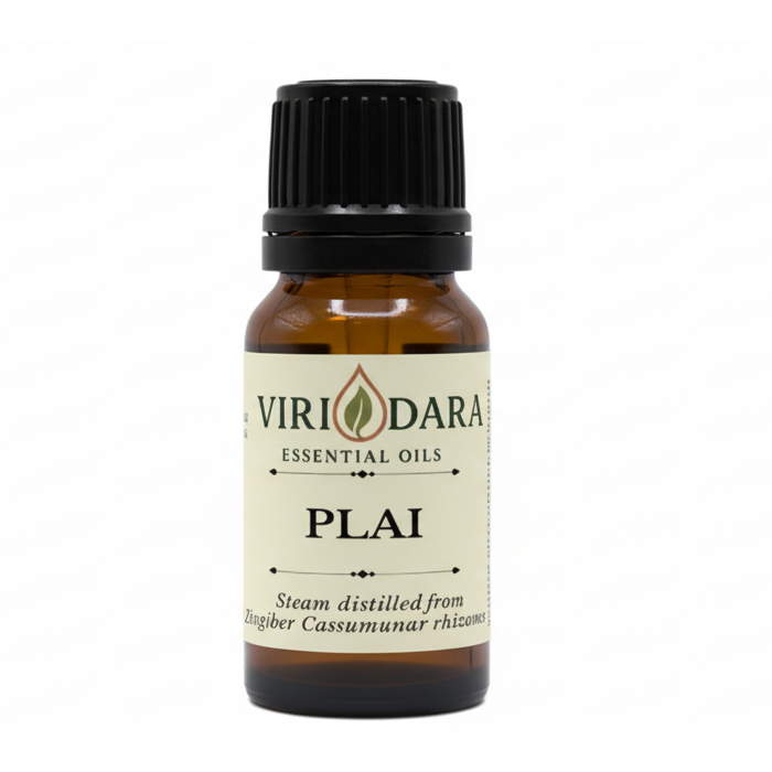Organic Plai Essential Oil