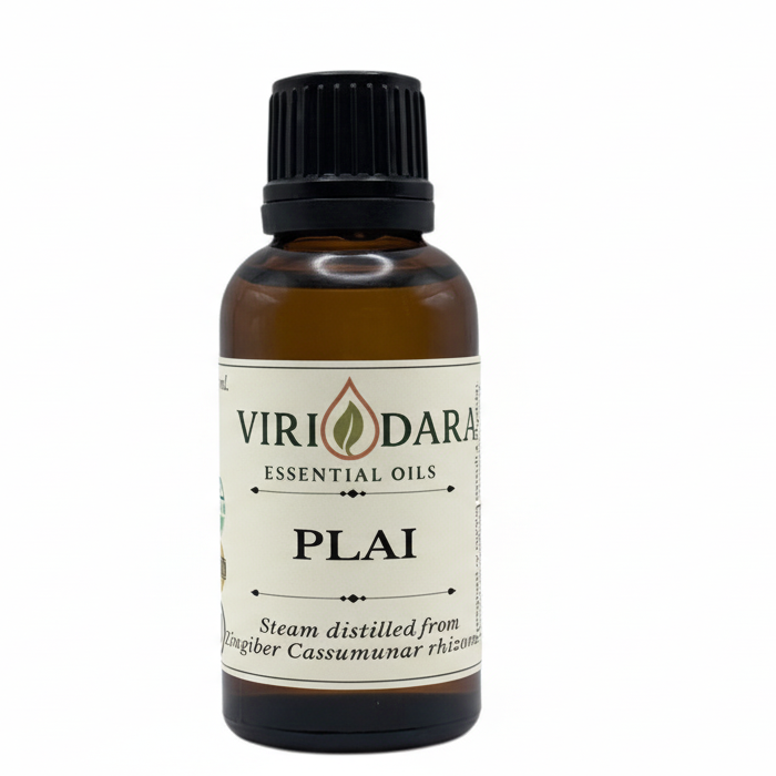 Organic Plai Essential Oil