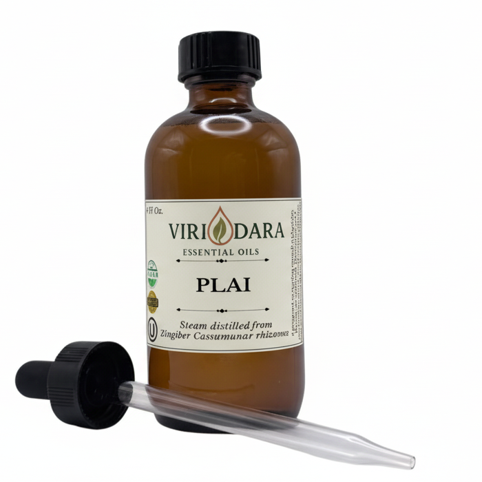 Organic Plai Essential Oil
