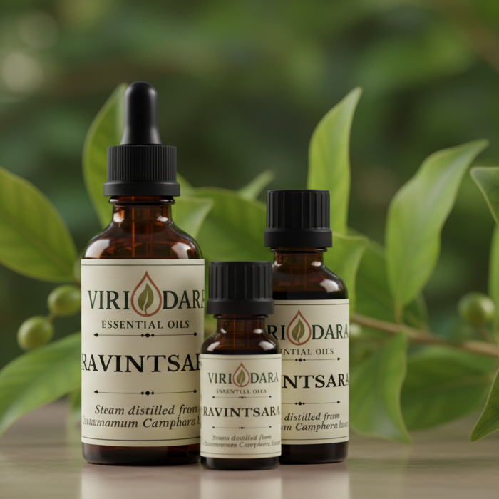 Organic Ravintsara Essential Oil