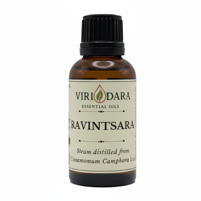 Organic Ravintsara Essential Oil