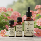 Organic Rose Geranium Essential Oil