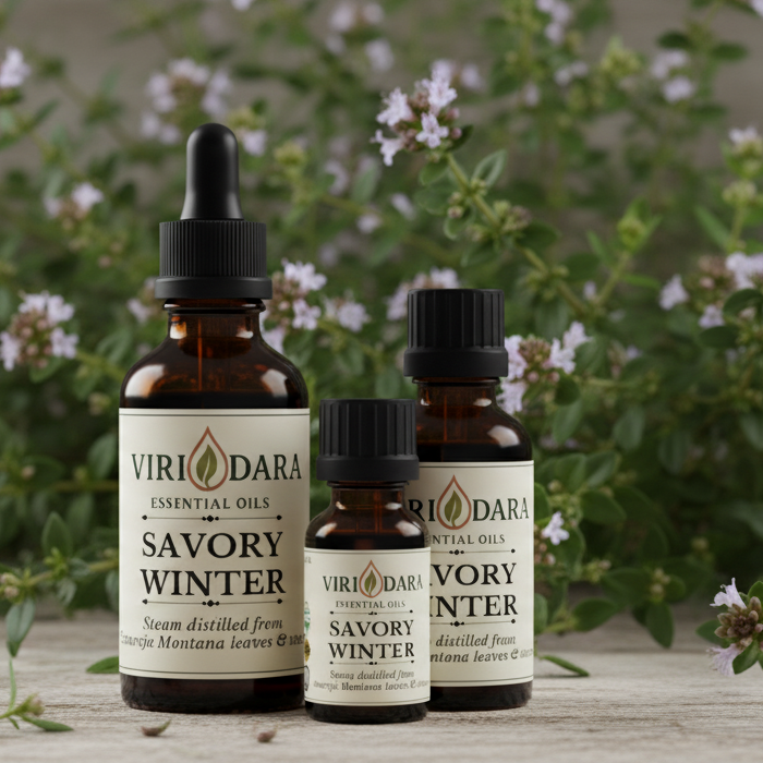 Organic Savory Winter Essential Oil