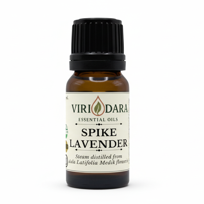 Organic Spike Lavender Essential Oil
