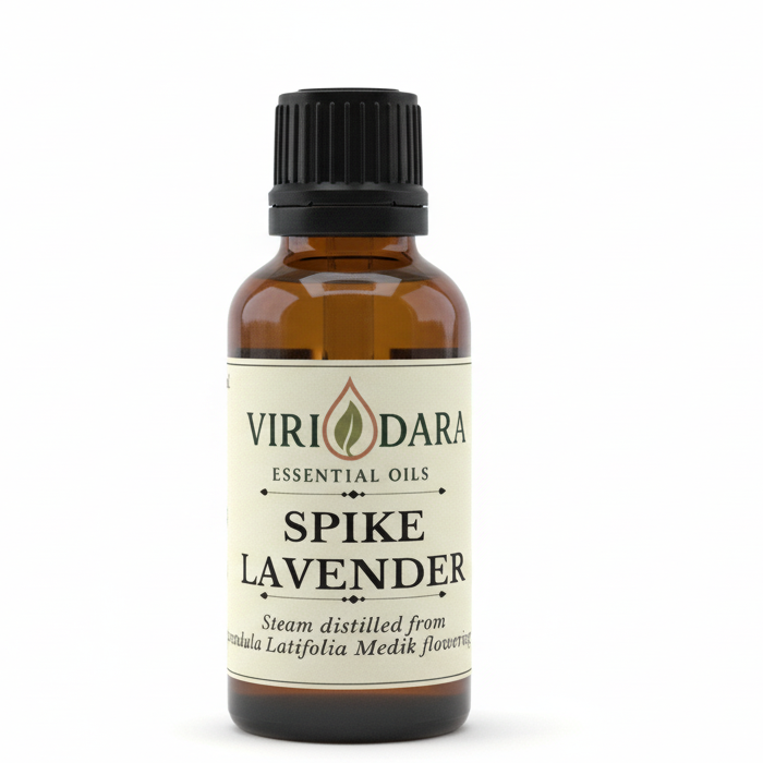 Organic Spike Lavender Essential Oil