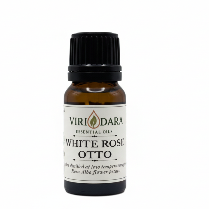 Organic White Rose Otto Essential Oil