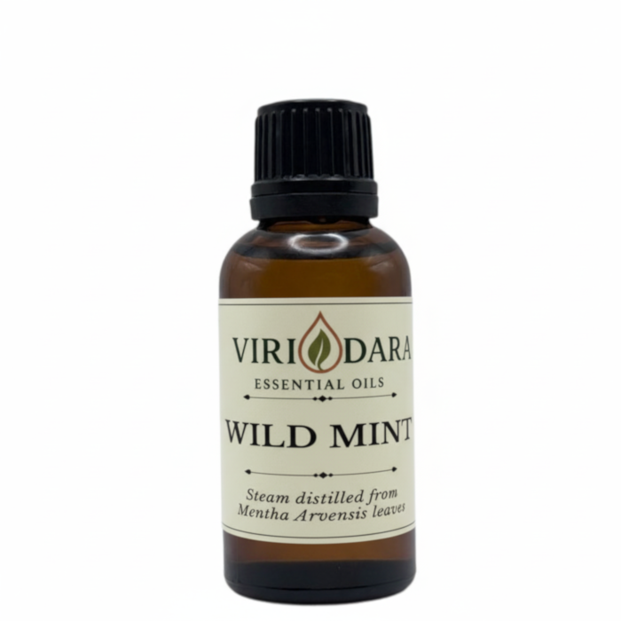 Organic Wild Mint Essential Oil