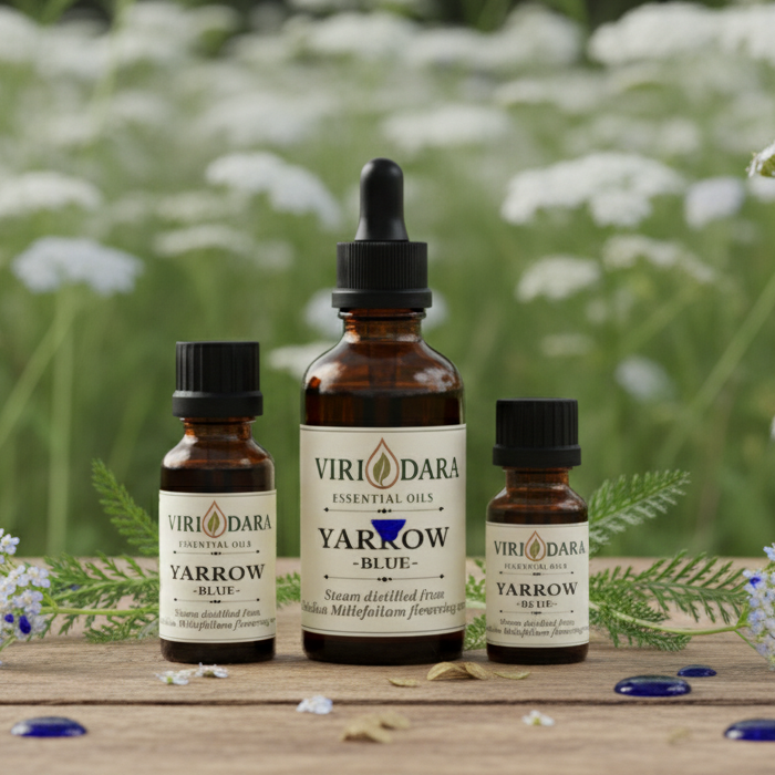 Organic Yarrow ~Blue~ Essential Oil